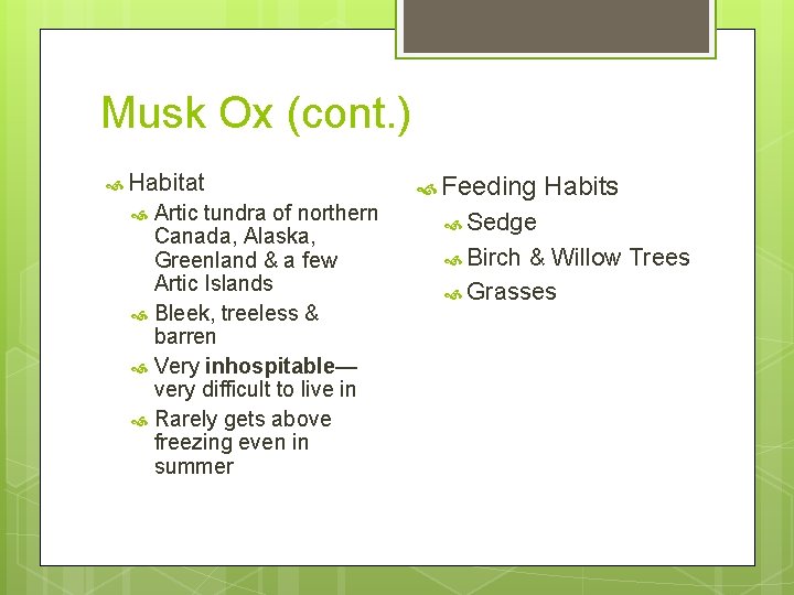 Musk Ox (cont. ) Habitat Artic tundra of northern Canada, Alaska, Greenland & a