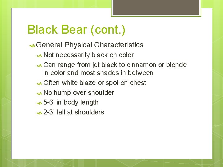 Black Bear (cont. ) General Not Physical Characteristics necessarily black on color Can range