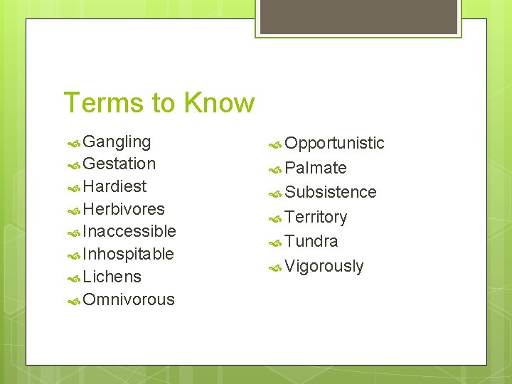 Terms to Know Gangling Opportunistic Gestation Palmate Hardiest Herbivores Inaccessible Inhospitable Lichens Omnivorous Subsistence