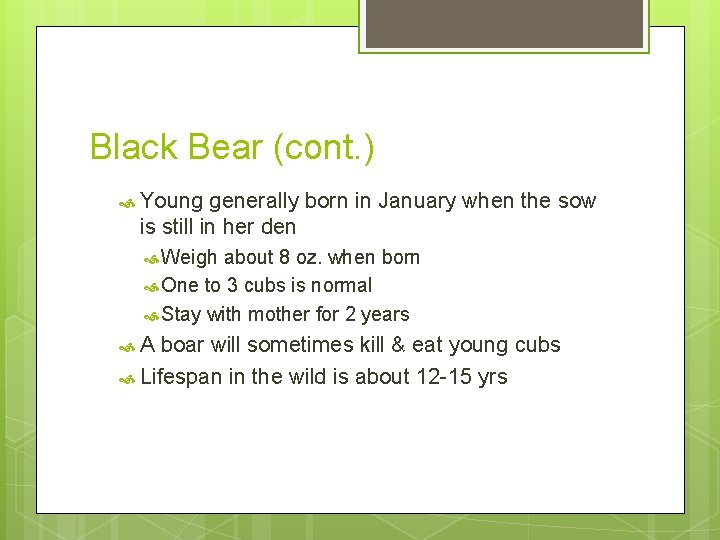 Black Bear (cont. ) Young generally born in January when the sow is still