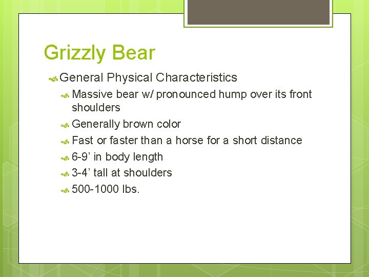 Grizzly Bear General Physical Characteristics Massive bear w/ pronounced hump over its front shoulders