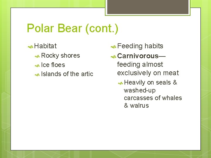 Polar Bear (cont. ) Habitat Rocky shores Ice floes Islands of the artic Feeding