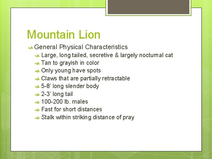 Mountain Lion General Physical Characteristics Large, long tailed, secretive & largely nocturnal cat Tan