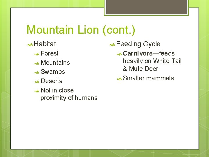 Mountain Lion (cont. ) Habitat Feeding Cycle Forest Carnivore—feeds Mountains heavily on White Tail