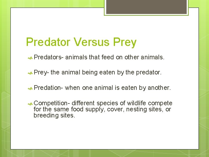 Predator Versus Prey Predators Prey- animals that feed on other animals. the animal being
