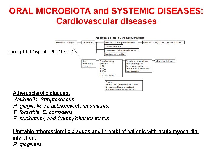 ORAL MICROBIOTA and SYSTEMIC DISEASES: Cardiovascular diseases doi. org/10. 1016/j. puhe. 2007. 004 Atherosclerotic