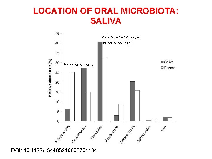 LOCATION OF ORAL MICROBIOTA: SALIVA Streptococcus spp. Veillonella spp. Prevotella spp. DOI: 10. 1177/154405910808701104