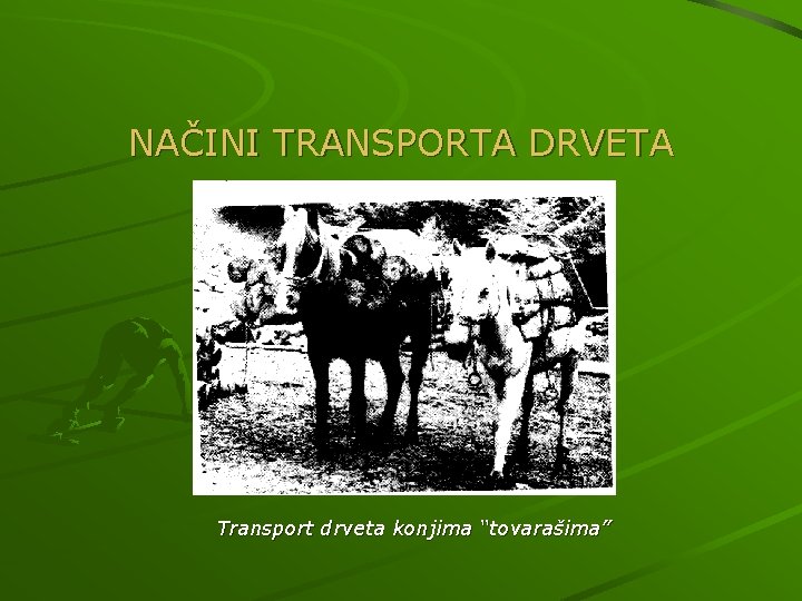 NAČINI TRANSPORTA DRVETA Transport drveta konjima “tovarašima” 