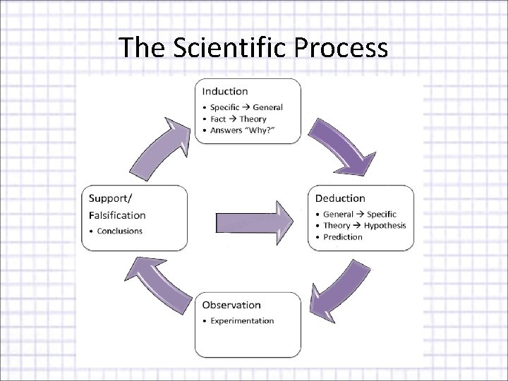 The Scientific Process 