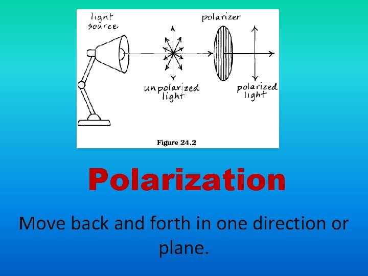 Polarization Move back and forth in one direction or plane. 