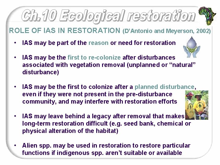 ROLE OF IAS IN RESTORATION (D’Antonio and Meyerson, 2002) • IAS may be part