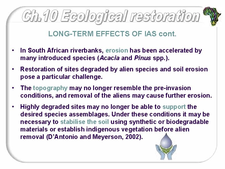 LONG-TERM EFFECTS OF IAS cont. • In South African riverbanks, erosion has been accelerated