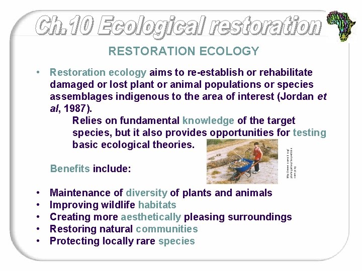 RESTORATION ECOLOGY Benefits include: • • • http: //www. rioweb. org/ photogallery/boywithba rrow. jpeg