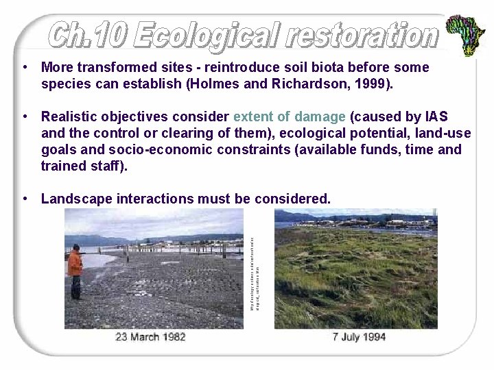  • More transformed sites - reintroduce soil biota before some species can establish
