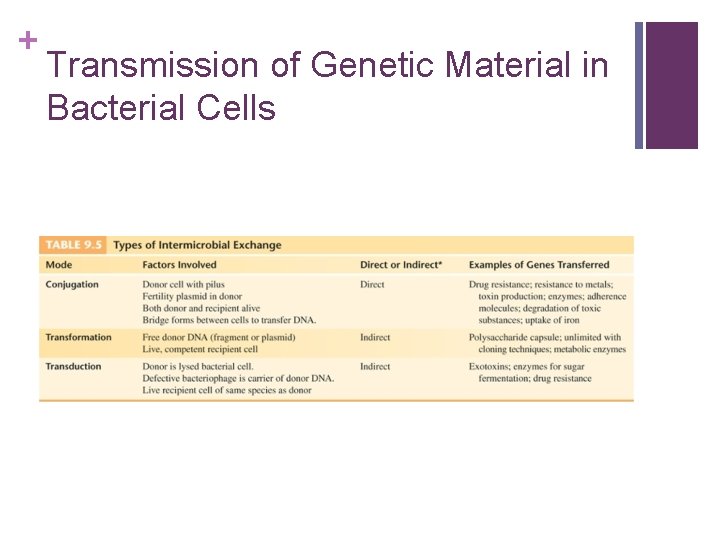 + Transmission of Genetic Material in Bacterial Cells 