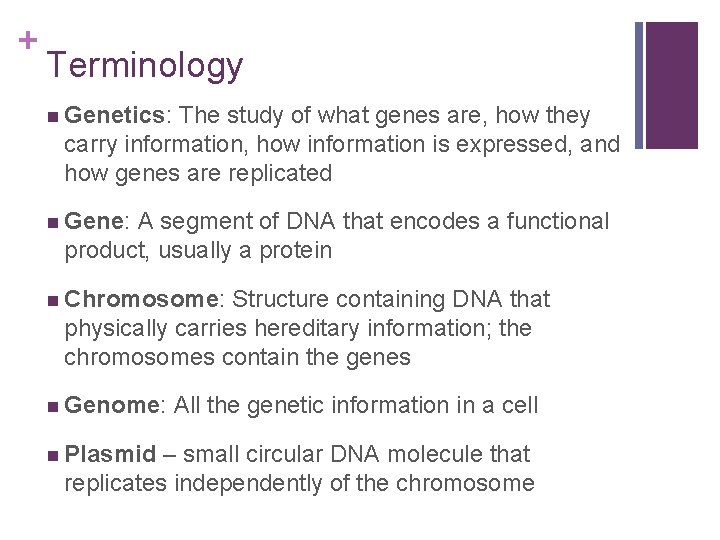 + Terminology n Genetics: The study of what genes are, how they carry information,