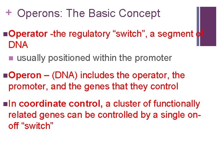 + Operons: The Basic Concept n Operator -the regulatory “switch”, a segment of DNA