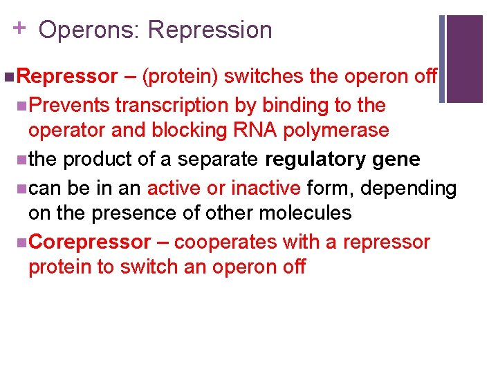 + Operons: Repression n Repressor – (protein) switches the operon off n Prevents transcription