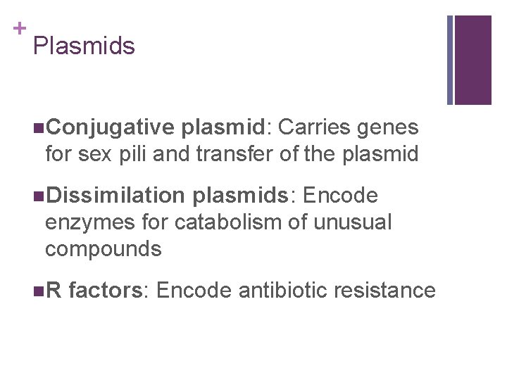 + Plasmids n. Conjugative plasmid: Carries genes for sex pili and transfer of the