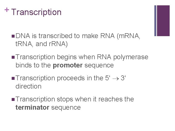 + Transcription n DNA is transcribed to make RNA (m. RNA, t. RNA, and