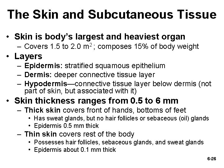 The Skin and Subcutaneous Tissue • Skin is body’s largest and heaviest organ – The Skin and Subcutaneous Tissue • Skin is body’s largest and heaviest organ –