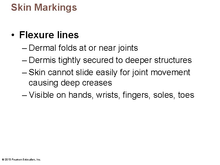 Skin Markings • Flexure lines – Dermal folds at or near joints – Dermis Skin Markings • Flexure lines – Dermal folds at or near joints – Dermis