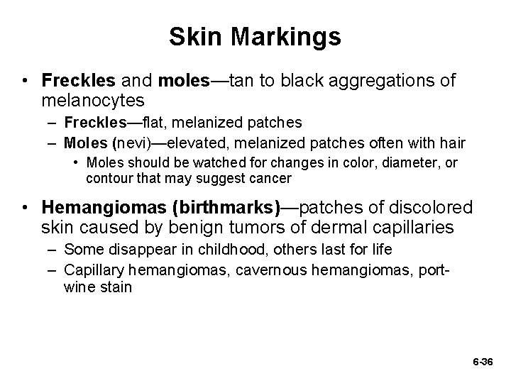 Skin Markings • Freckles and moles—tan to black aggregations of melanocytes – Freckles—flat, melanized Skin Markings • Freckles and moles—tan to black aggregations of melanocytes – Freckles—flat, melanized