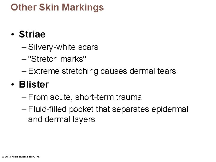 Other Skin Markings • Striae – Silvery-white scars – "Stretch marks" – Extreme stretching Other Skin Markings • Striae – Silvery-white scars – "Stretch marks" – Extreme stretching