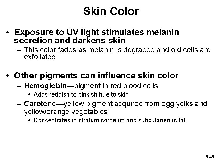 Skin Color • Exposure to UV light stimulates melanin secretion and darkens skin – Skin Color • Exposure to UV light stimulates melanin secretion and darkens skin –