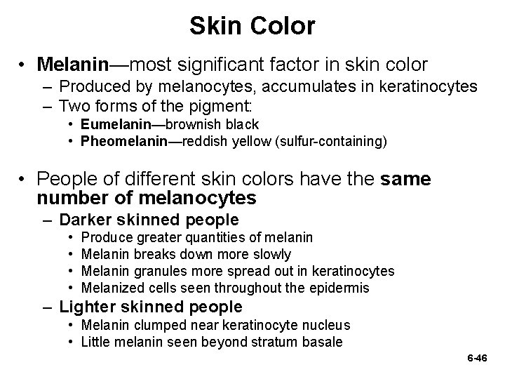 Skin Color • Melanin—most significant factor in skin color – Produced by melanocytes, accumulates Skin Color • Melanin—most significant factor in skin color – Produced by melanocytes, accumulates