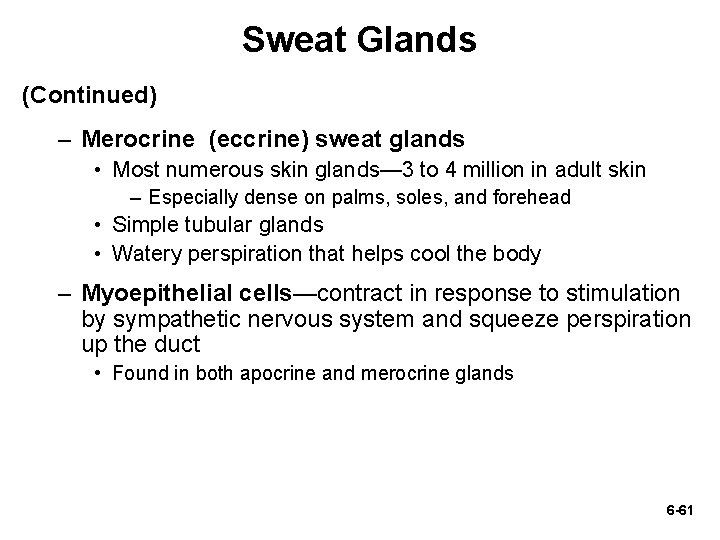 Sweat Glands (Continued) – Merocrine (eccrine) sweat glands • Most numerous skin glands— 3 Sweat Glands (Continued) – Merocrine (eccrine) sweat glands • Most numerous skin glands— 3