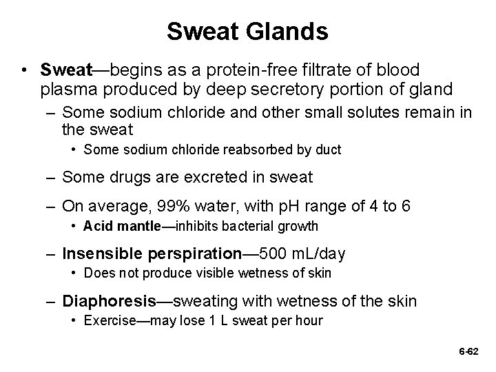 Sweat Glands • Sweat—begins as a protein-free filtrate of blood plasma produced by deep Sweat Glands • Sweat—begins as a protein-free filtrate of blood plasma produced by deep
