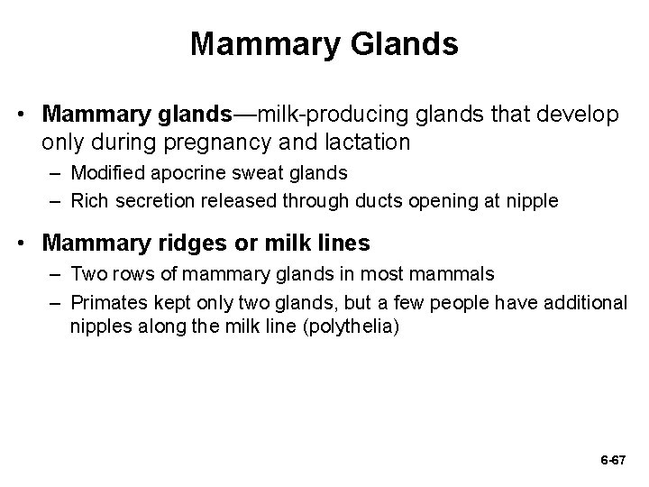 Mammary Glands • Mammary glands—milk-producing glands that develop only during pregnancy and lactation – Mammary Glands • Mammary glands—milk-producing glands that develop only during pregnancy and lactation –