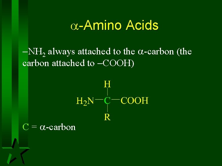 -Amino Acids NH 2 always attached to the -carbon (the carbon attached to -Amino Acids NH 2 always attached to the -carbon (the carbon attached to