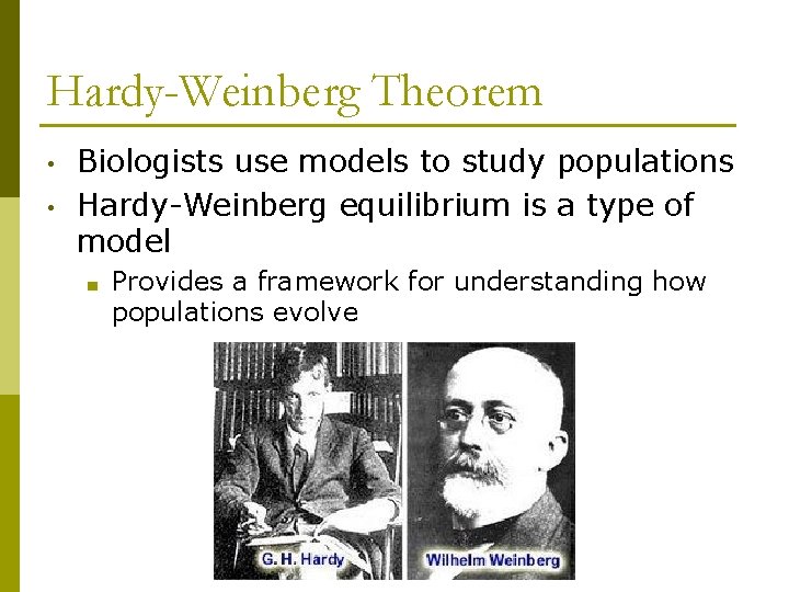 Hardy-Weinberg Theorem • • Biologists use models to study populations Hardy-Weinberg equilibrium is a