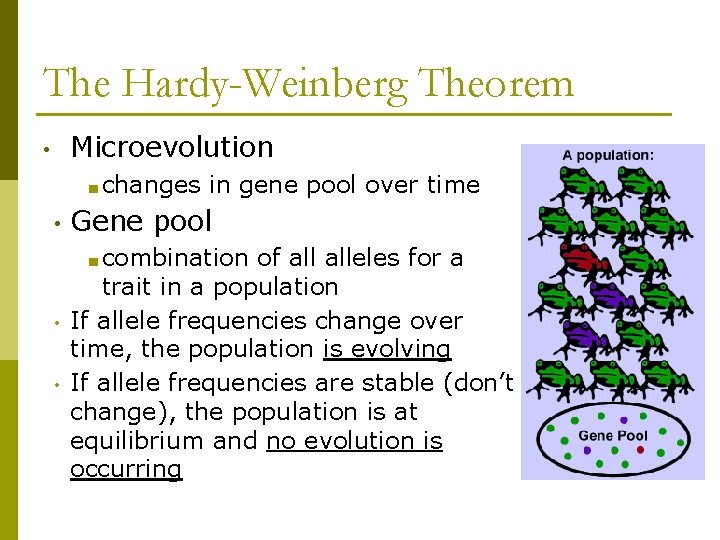 The Hardy-Weinberg Theorem Microevolution • ■ changes • in gene pool over time Gene