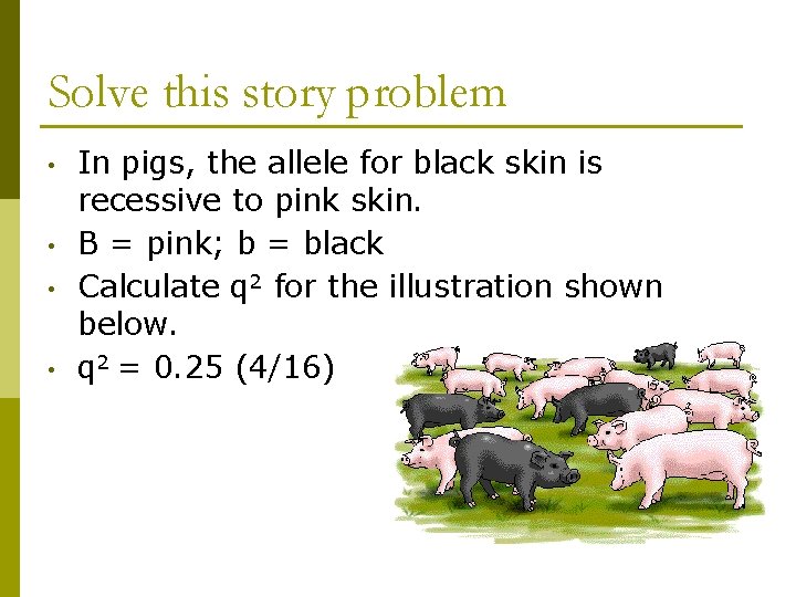 Solve this story problem • • In pigs, the allele for black skin is