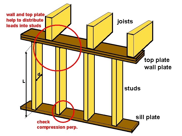 wall and top plate help to distribute loads into studs joists top plate wall