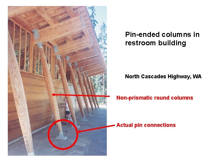 Pin-ended columns in restroom building North Cascades Highway, WA Non-prismatic round columns Actual pin