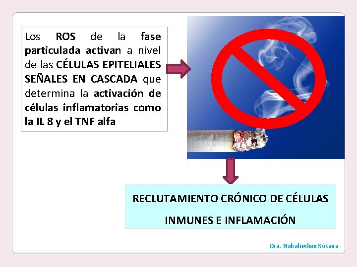 Los ROS de la fase particulada activan a nivel de las CÉLULAS EPITELIALES SEÑALES