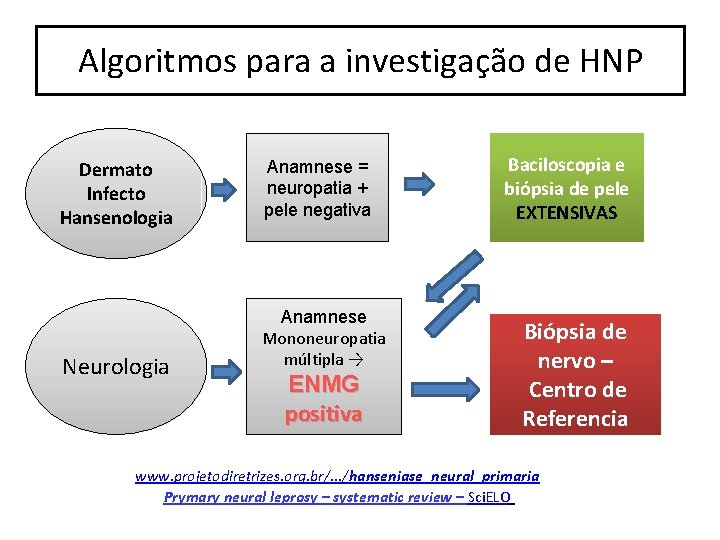 Algoritmos para a investigação de HNP Dermato Infecto Hansenologia Neurologia Anamnese = neuropatia +