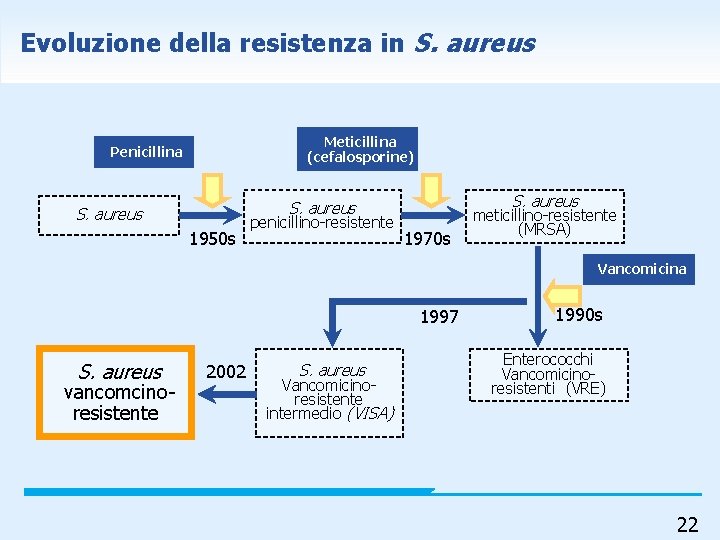 Evoluzione della resistenza in S. aureus Meticillina (cefalosporine) Penicillina S. aureus 1950 s penicillino-resistente
