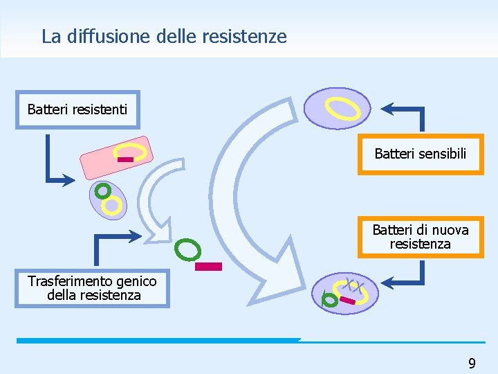 La diffusione delle resistenze Batteri resistenti Batteri sensibili Batteri di nuova resistenza Trasferimento genico