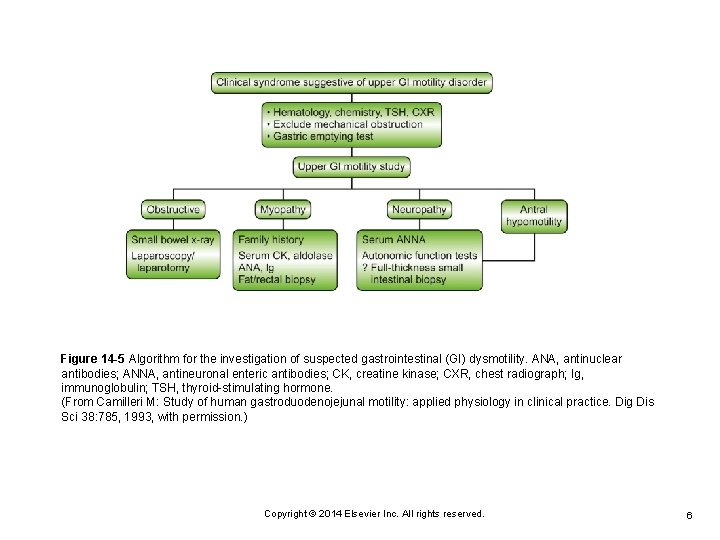 Figure 14 -5 Algorithm for the investigation of suspected gastrointestinal (GI) dysmotility. ANA, antinuclear