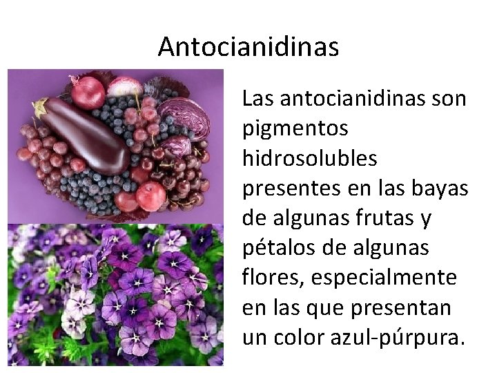 Antocianidinas Las antocianidinas son pigmentos hidrosolubles presentes en las bayas de algunas frutas y
