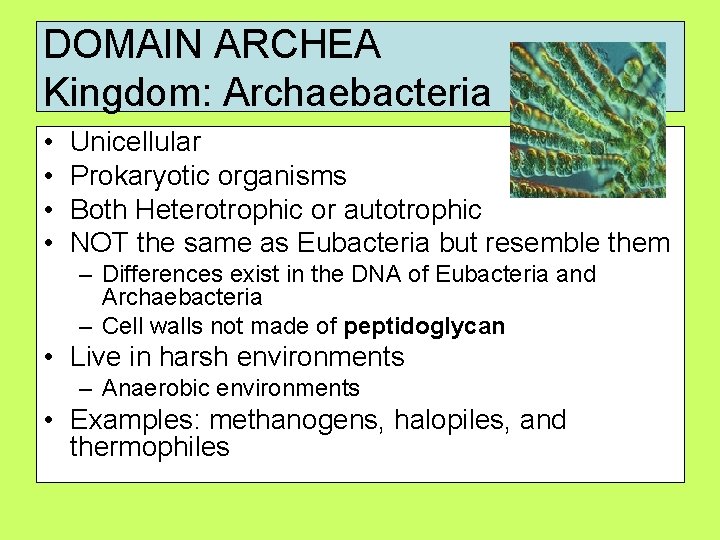 DOMAIN ARCHEA Kingdom: Archaebacteria • • Unicellular Prokaryotic organisms Both Heterotrophic or autotrophic NOT