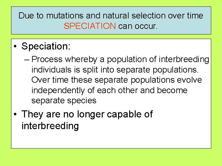 Due to mutations and natural selection over time SPECIATION can occur. • Speciation: –