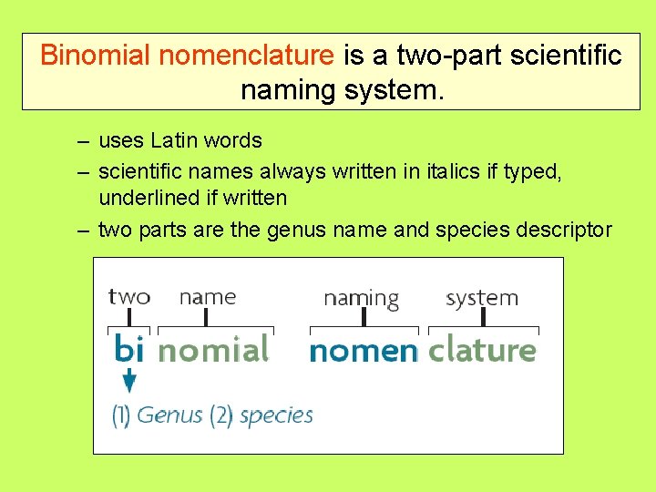 Binomial nomenclature is a two-part scientific naming system. – uses Latin words – scientific