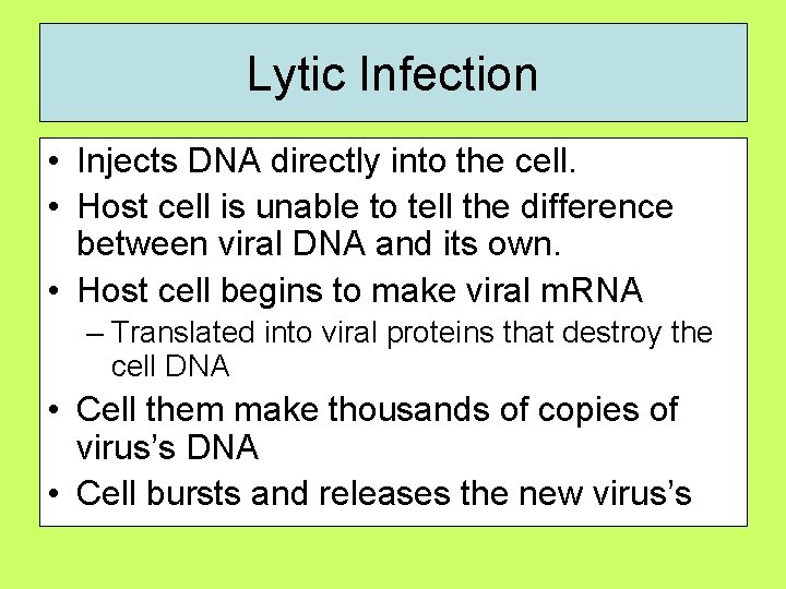 Lytic Infection • Injects DNA directly into the cell. • Host cell is unable