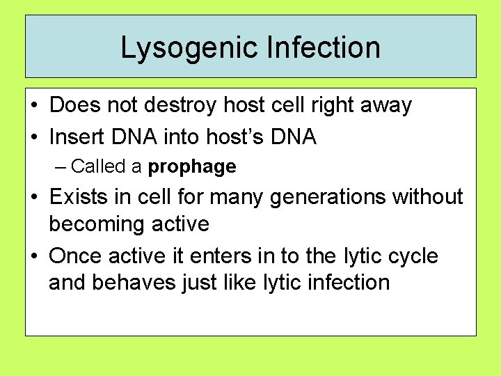 Lysogenic Infection • Does not destroy host cell right away • Insert DNA into